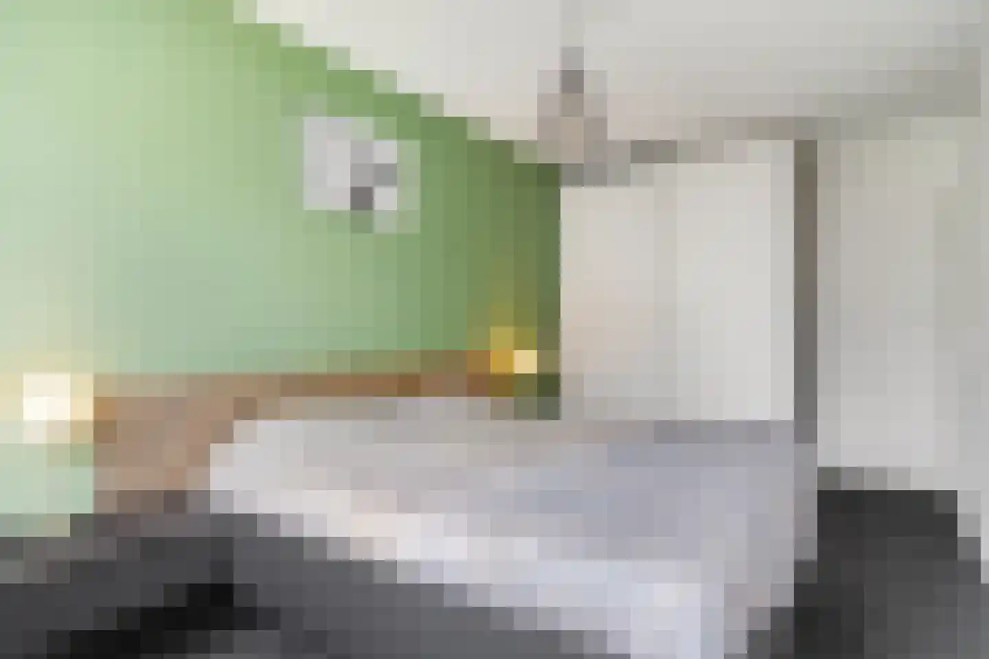 Netscherstraat 14 Ede thumbnail 17