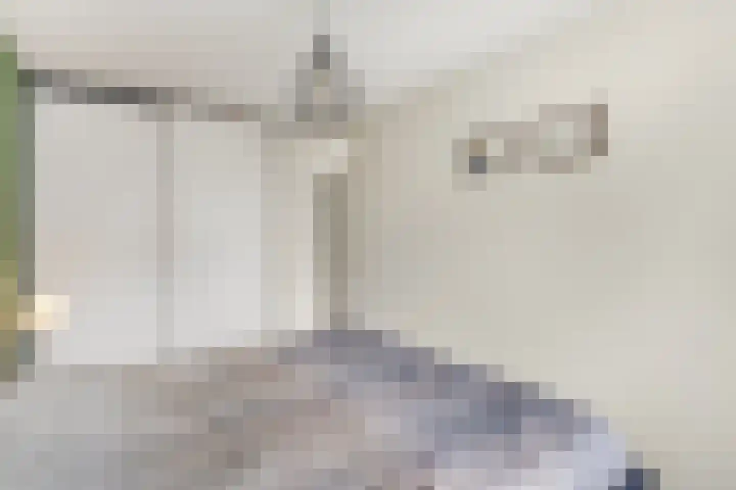 Netscherstraat 14 Ede thumbnail 18