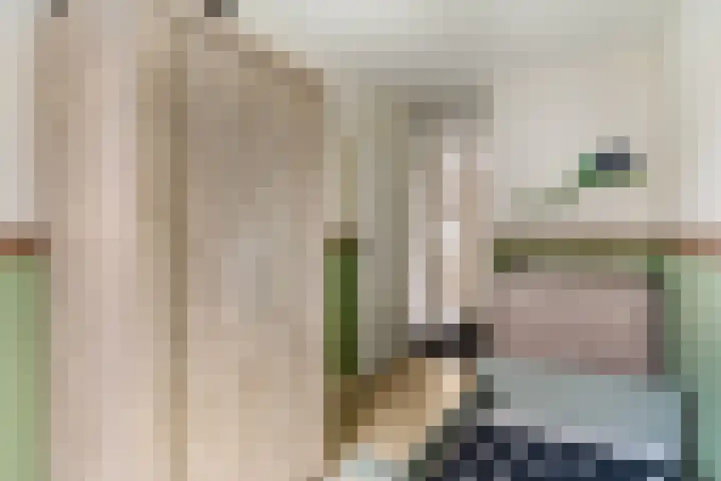 Netscherstraat 14 Ede thumbnail 20