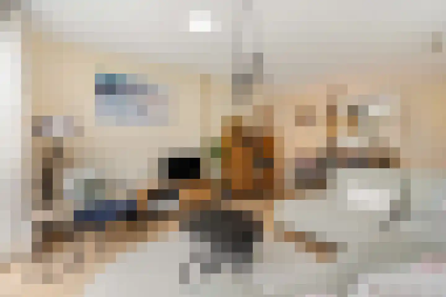 Netscherstraat 14 Ede thumbnail 4