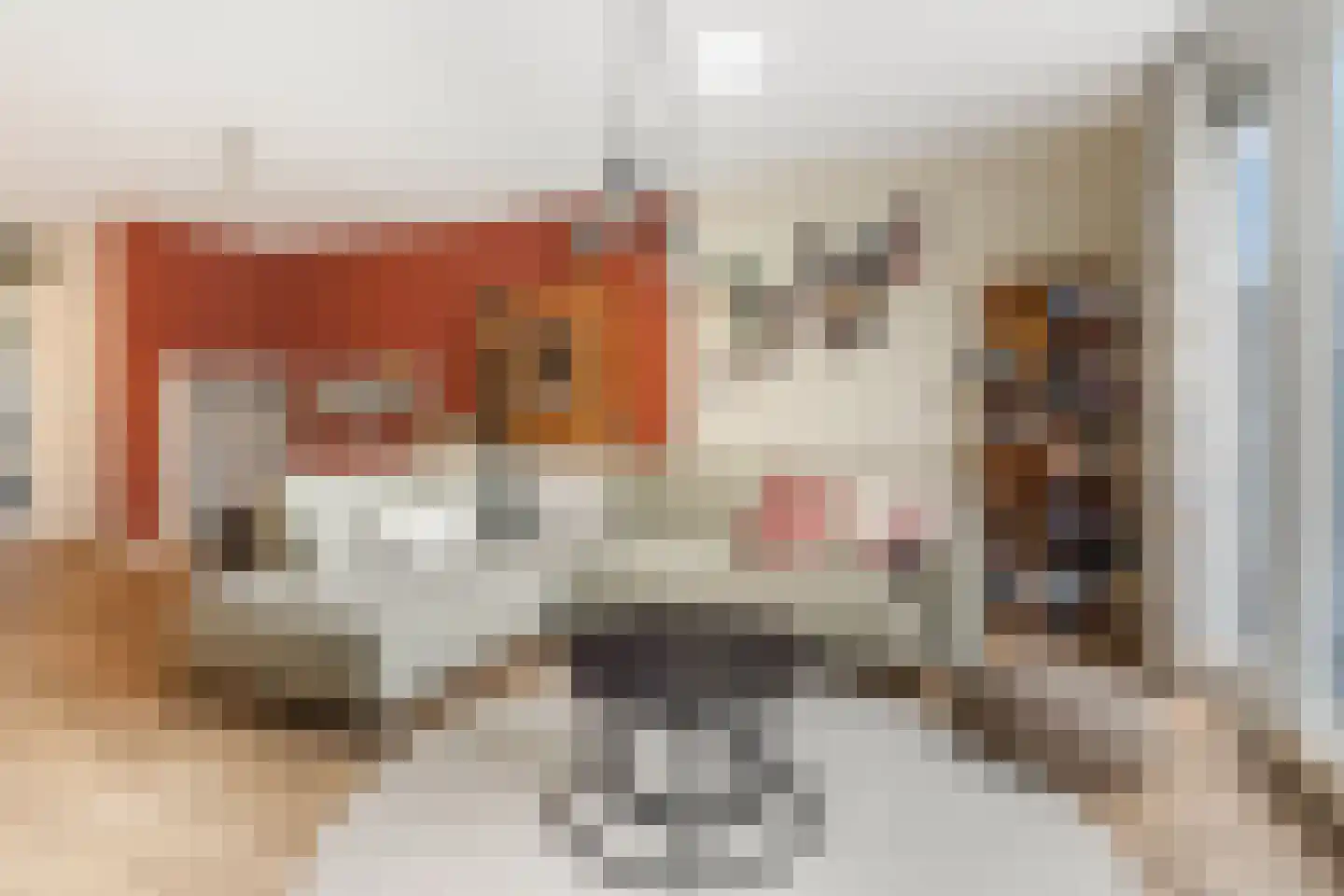Netscherstraat 14 Ede thumbnail 5