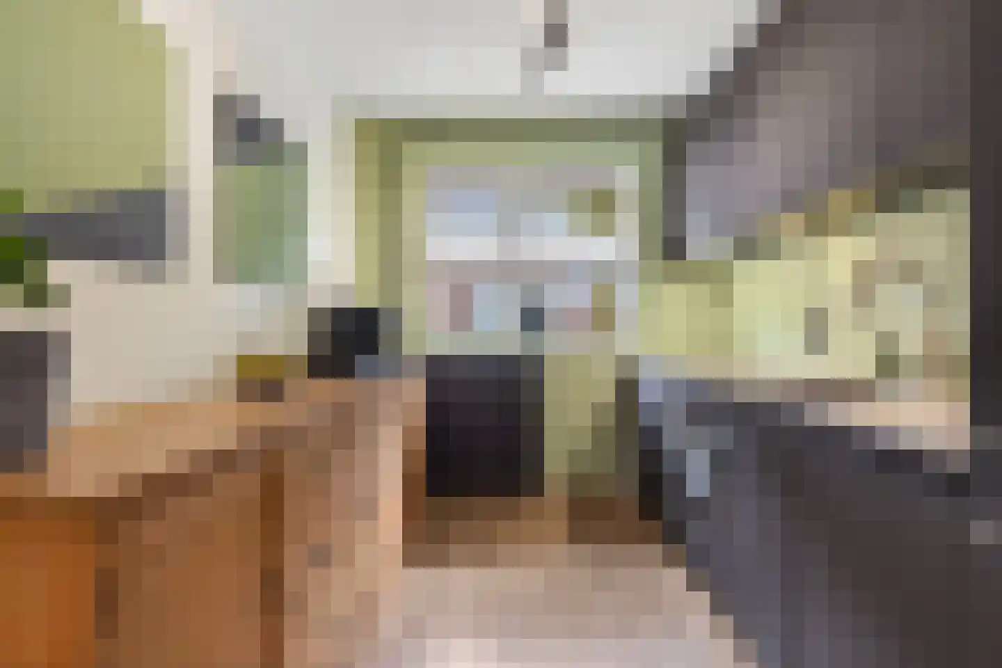 Netscherstraat 19 Ede thumbnail 13