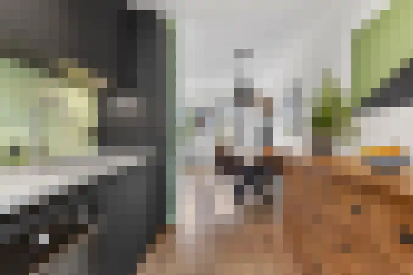 Netscherstraat 19 Ede thumbnail 15