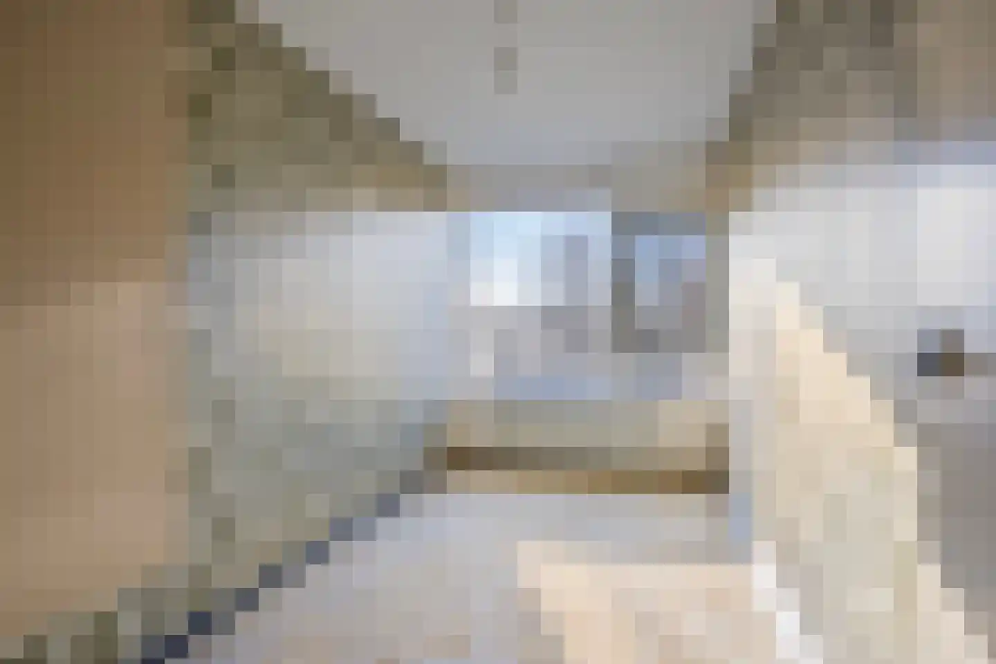 Nettelhorst 1 Ede thumbnail 18