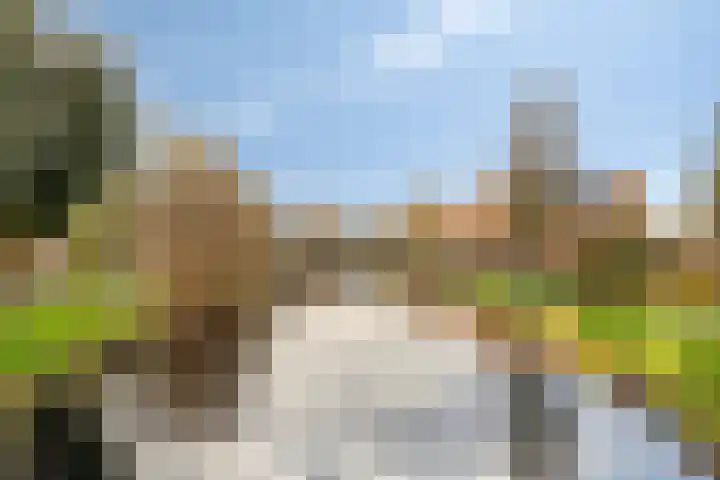 Nettelhorst 106 Alphen aan den Rijn thumbnail 29