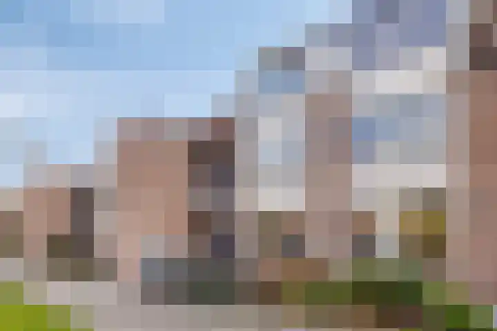 Nettelhorst 106 Alphen aan den Rijn thumbnail 30