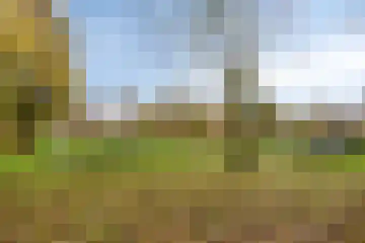 Nettelhorst 106 Alphen aan den Rijn thumbnail 33