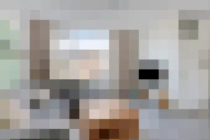 Nettelhorst 106 Alphen aan den Rijn thumbnail 4