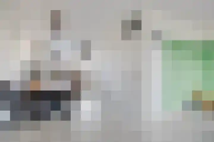 Nettelhorst 106 Alphen aan den Rijn thumbnail 6