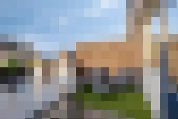 Nettelhorst 106 Alphen aan den Rijn thumbnail 9
