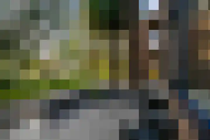 Nettelhorst 24 Alphen aan den Rijn thumbnail 21
