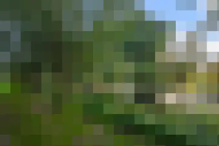 Nettelhorst 24 Alphen aan den Rijn thumbnail 23