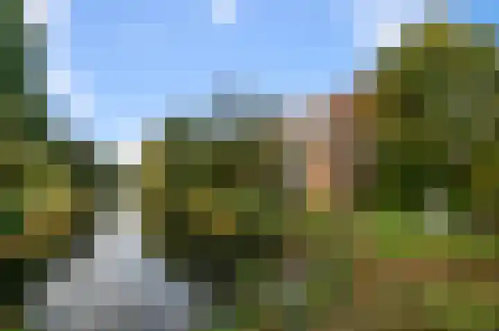 Nettelhorst 24 Alphen aan den Rijn thumbnail 24