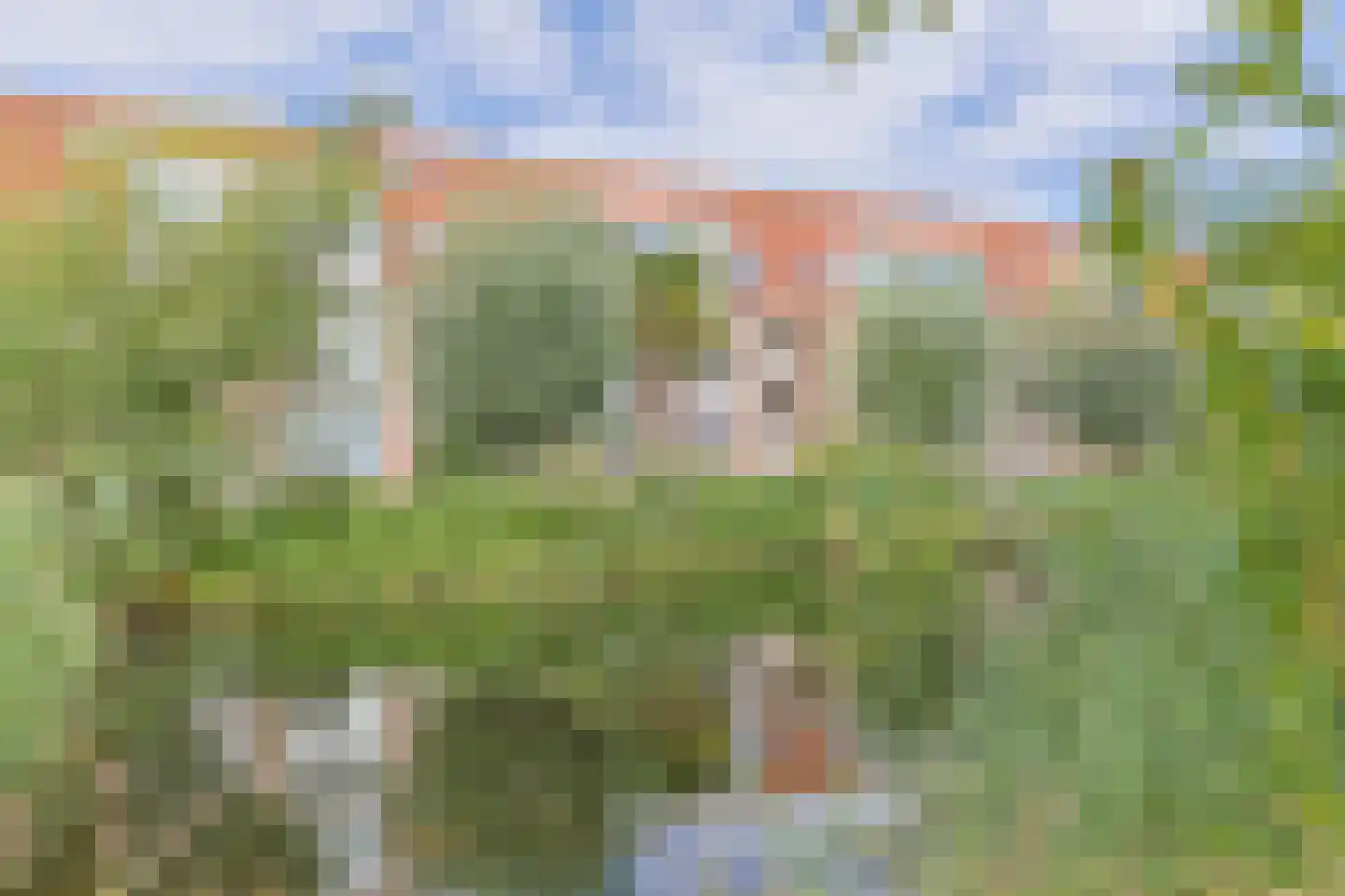Nettelhorst 34 Alphen aan den Rijn foto 3