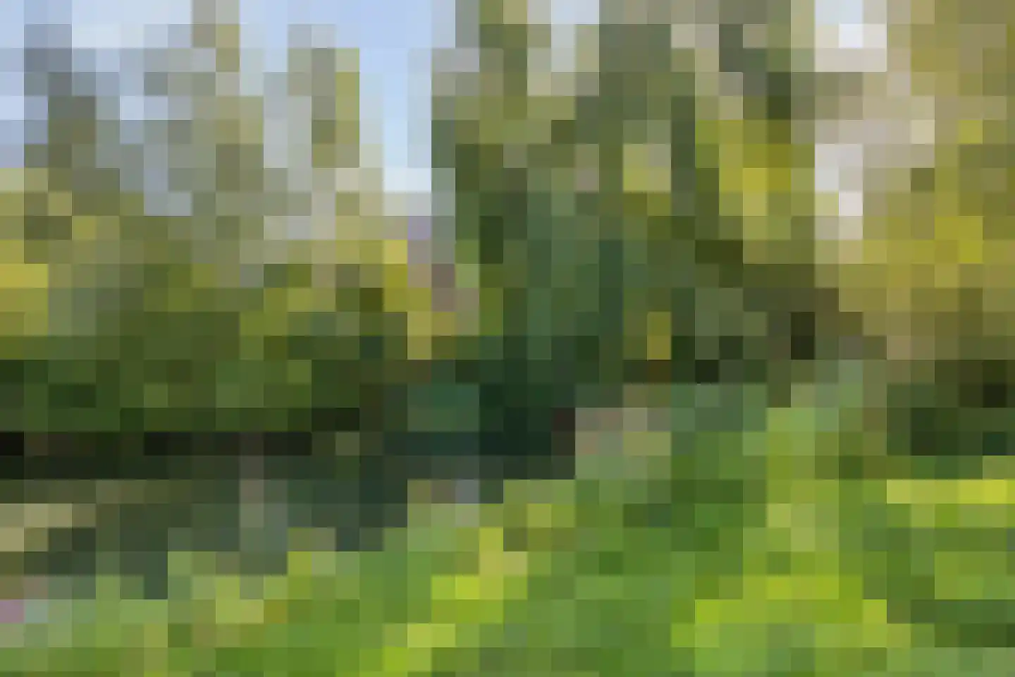 Nettelhorst 54 Ede thumbnail 36