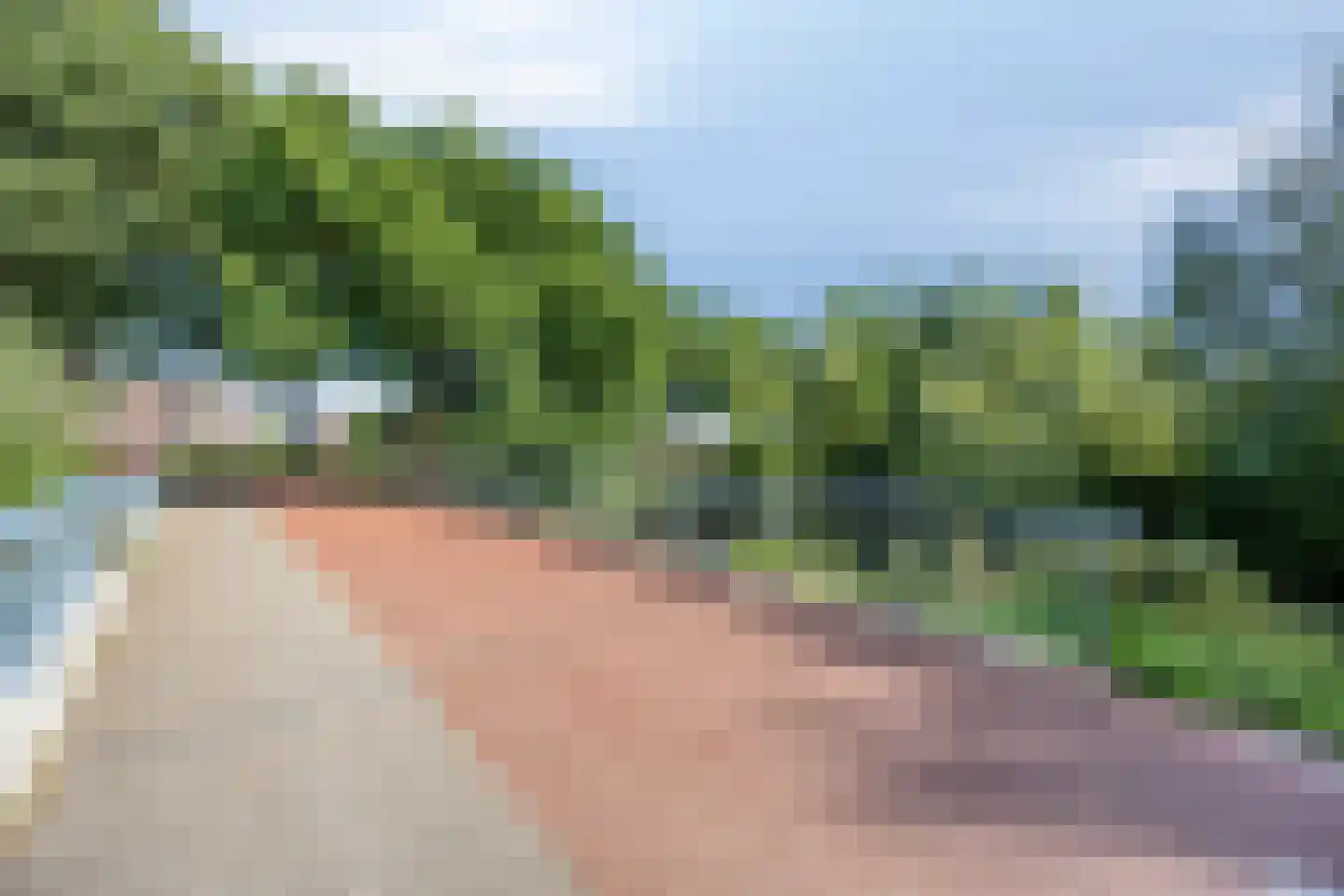 Nettelhorst 54 Ede thumbnail 37