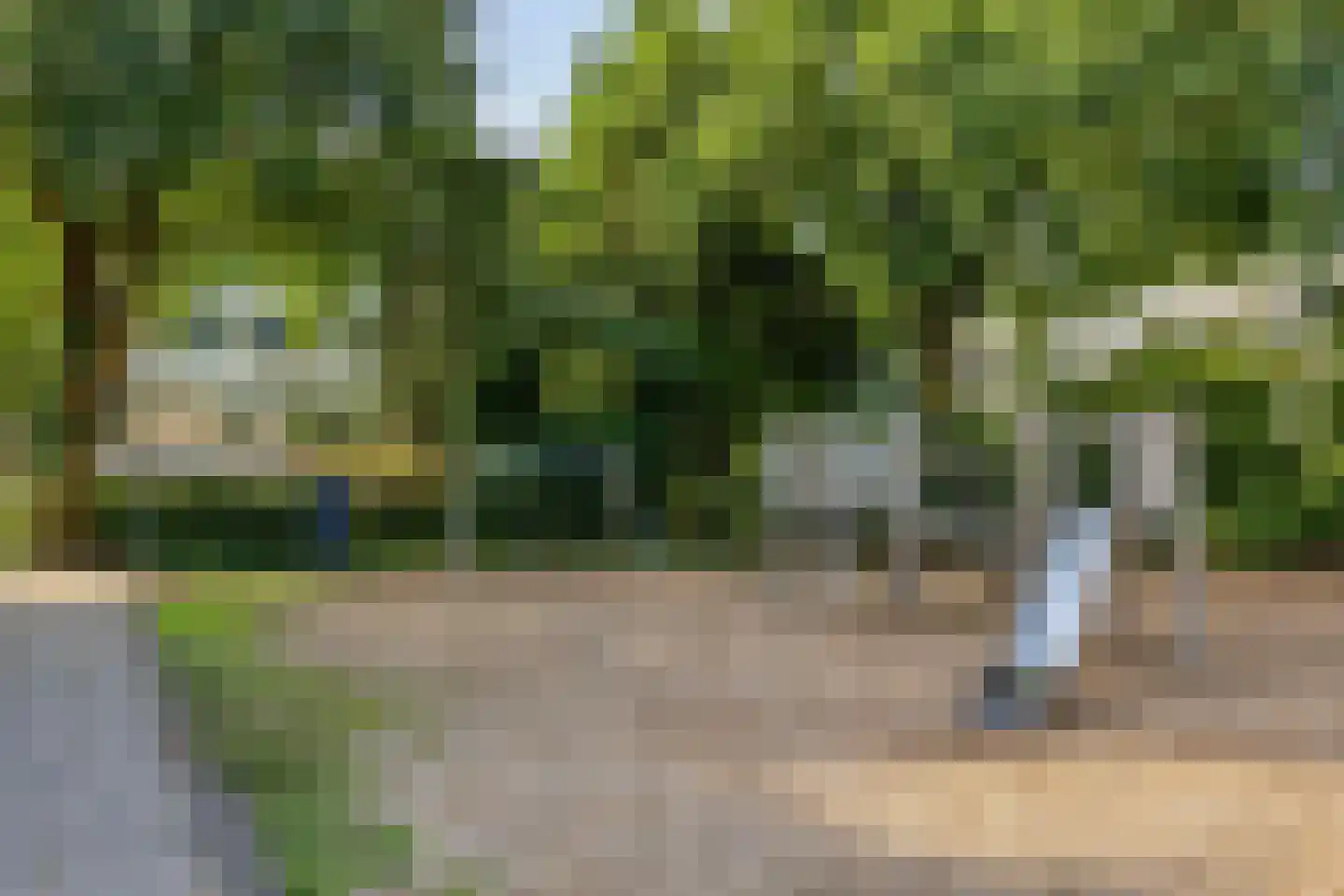 Nettelhorst 54 Ede thumbnail 39