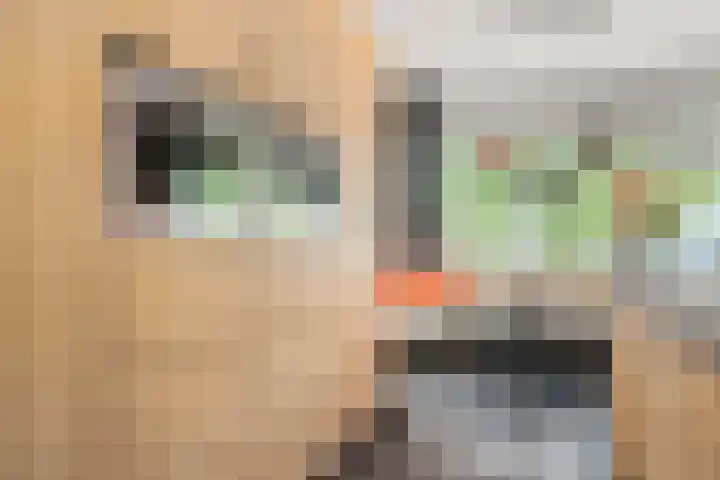 Nettelhorst 73 Ede thumbnail 18