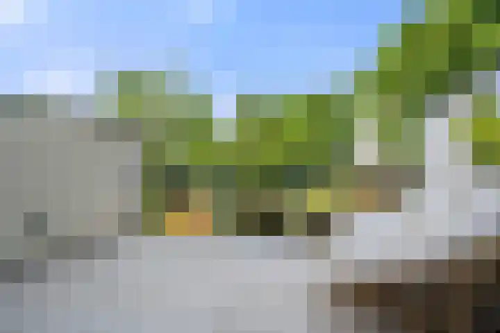 Nettelhorst 73 Ede thumbnail 23
