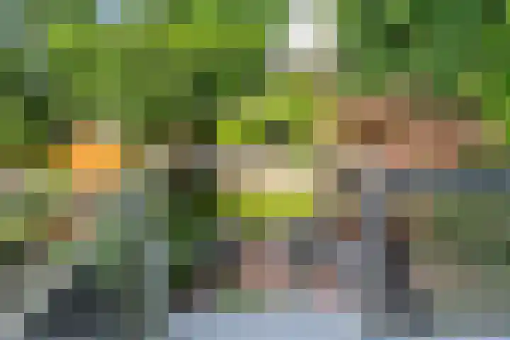 Nettelhorst 73 Ede thumbnail 24