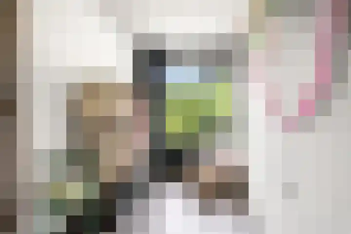 Nettelhorst 73 Ede thumbnail 34