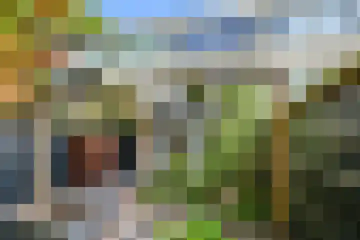 Nettelhorst 73 Ede thumbnail 40