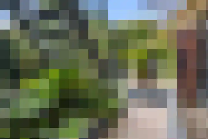 Nettelhorst 73 Ede thumbnail 41