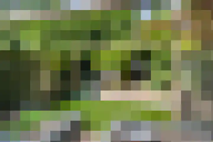 Nettelhorst 73 Ede thumbnail 42