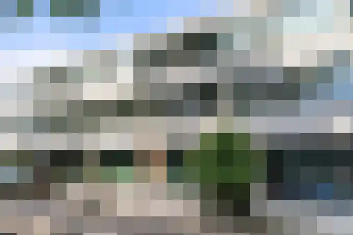 Nettelhorst 73 Ede thumbnail 43