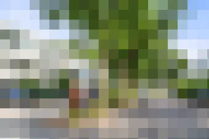 Nettelhorst 73 Ede thumbnail 46