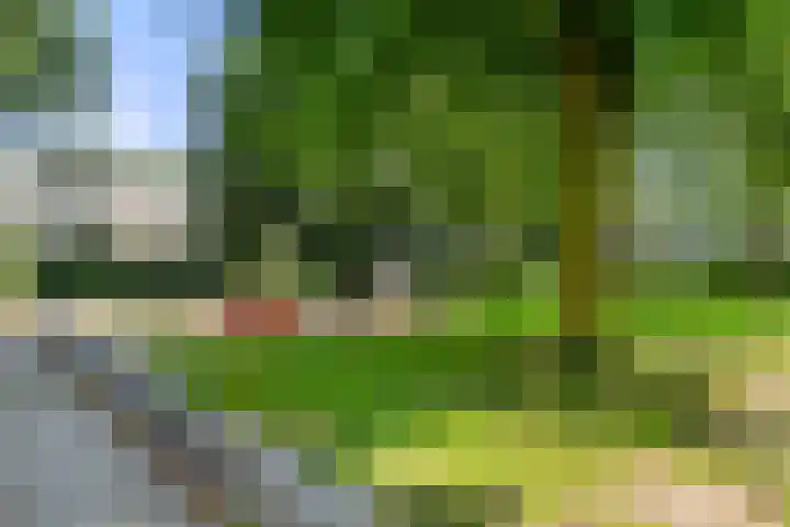 Nettelhorst 73 Ede thumbnail 47