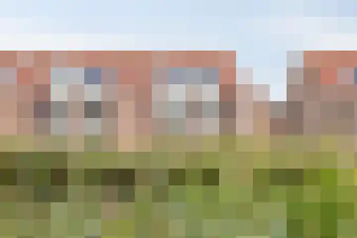 Nettelhorst 94 Alphen aan den Rijn thumbnail 23