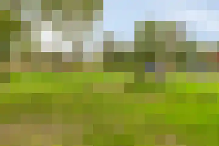 Nettelhorst 94 Alphen aan den Rijn thumbnail 24