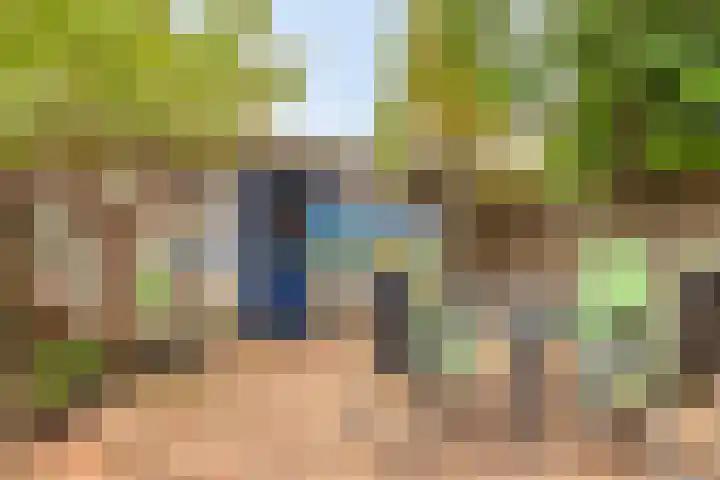Nettelhorst 94 Alphen aan den Rijn thumbnail 4