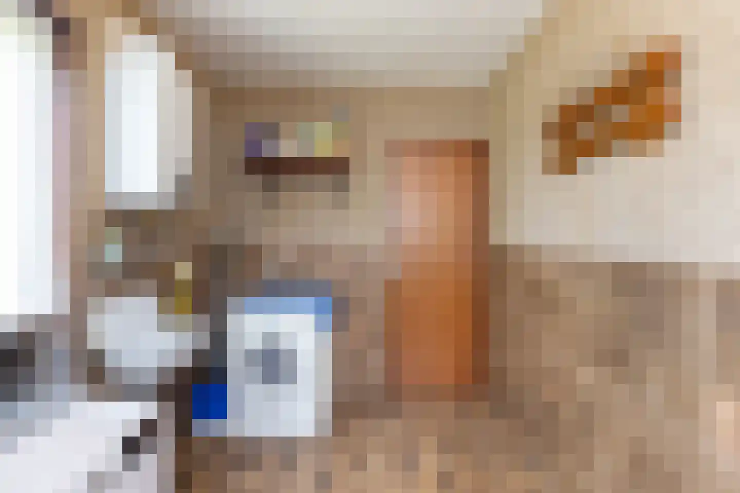 Nettelhorsterweg 26 Geesteren thumbnail 11