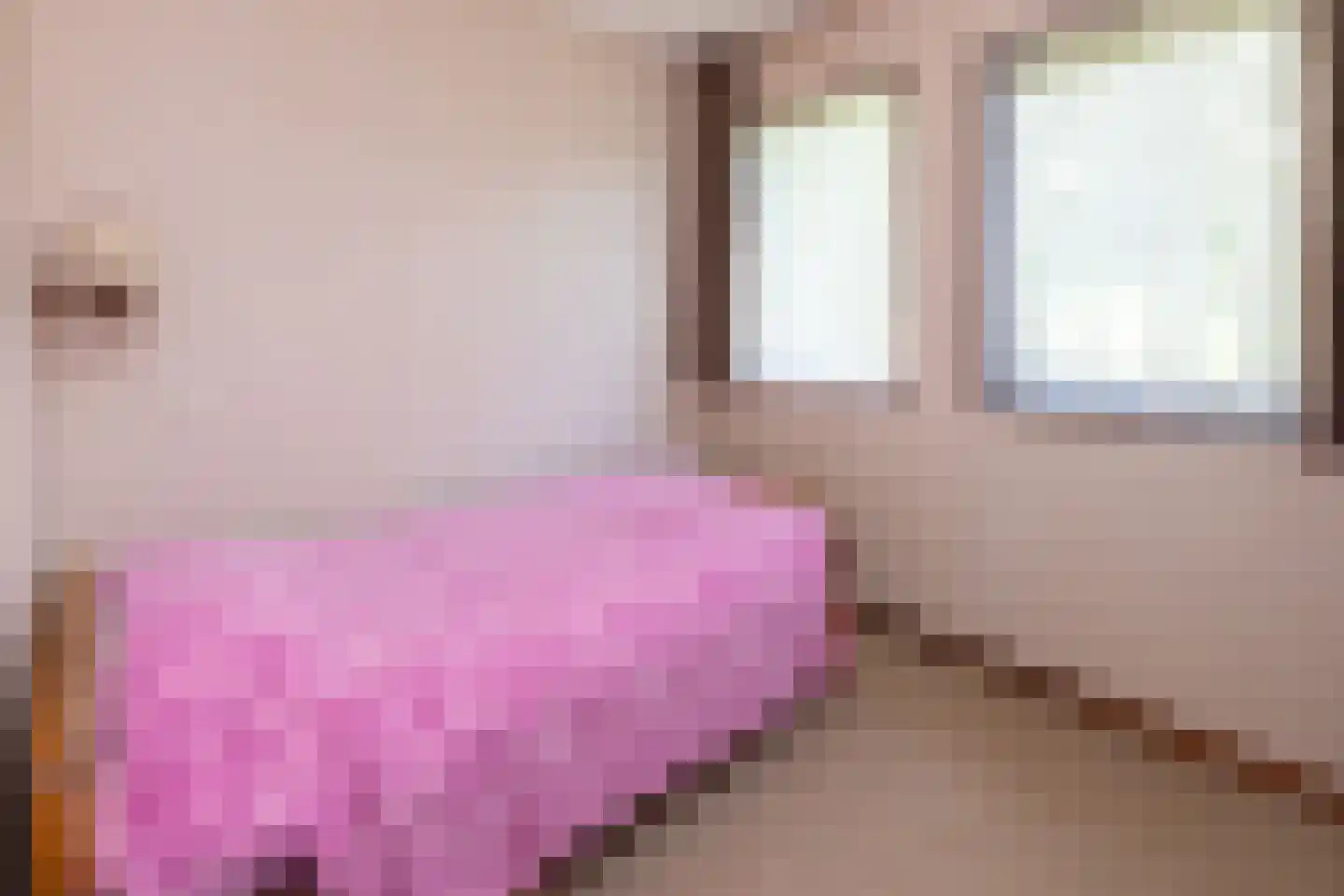 Nettelhorsterweg 26 Geesteren thumbnail 12