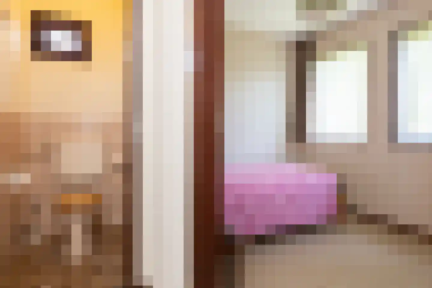 Nettelhorsterweg 26 Geesteren thumbnail 13