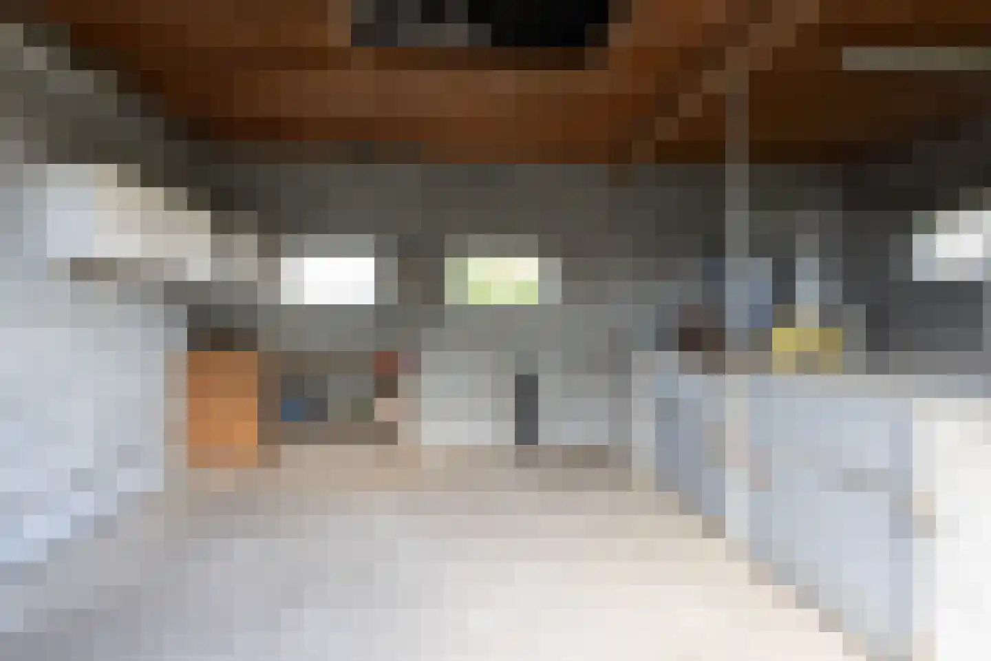 Nettelhorsterweg 26 Geesteren thumbnail 22