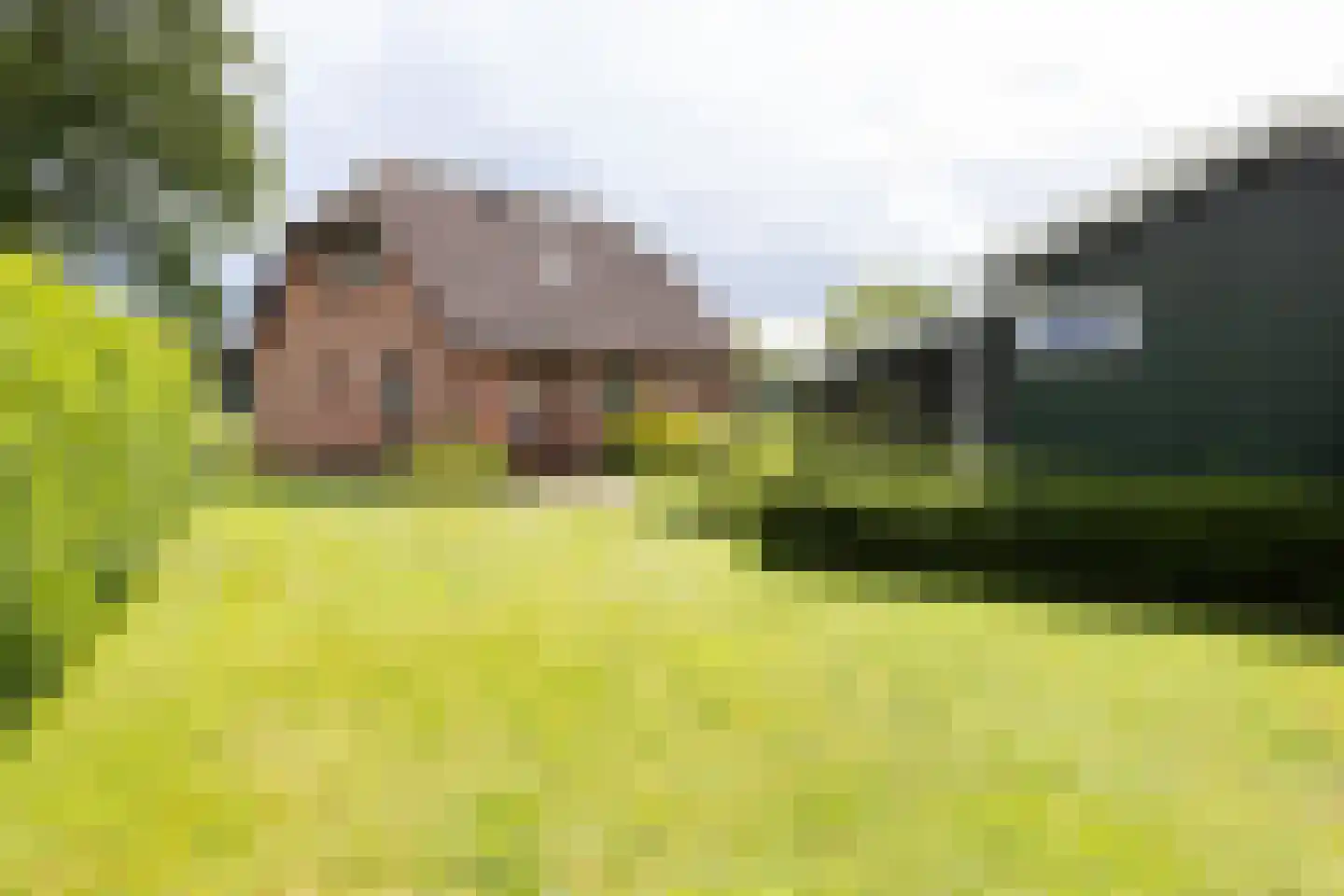 Nettelhorsterweg 26 Geesteren thumbnail 26