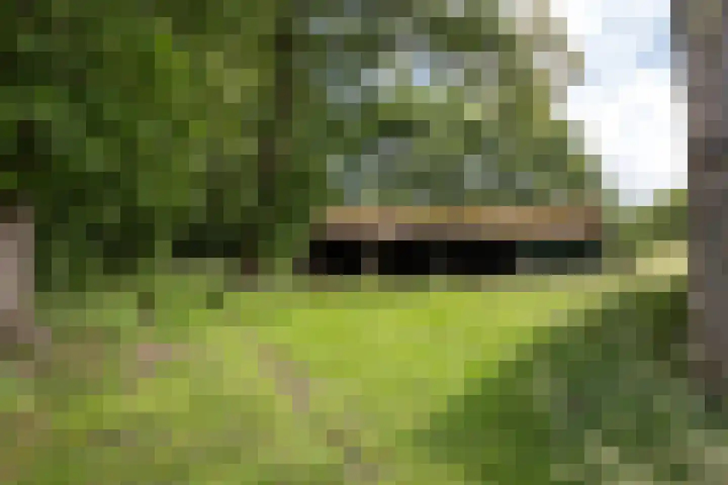 Nettelhorsterweg 26 Geesteren thumbnail 28