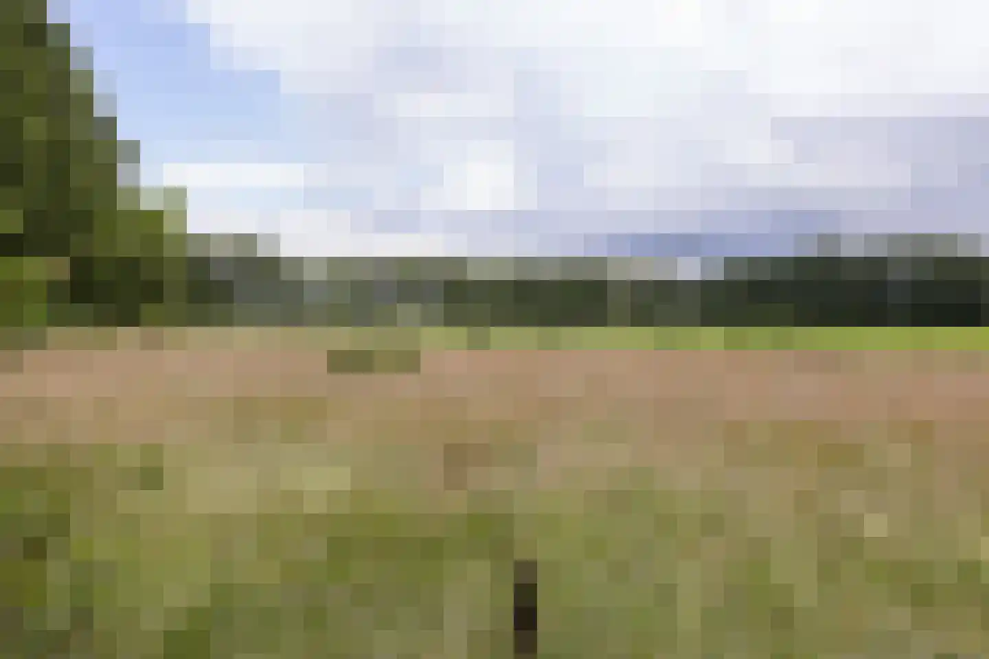 Nettelhorsterweg 26 Geesteren thumbnail 30
