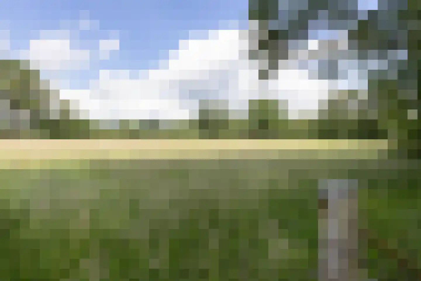 Nettelhorsterweg 26 Geesteren thumbnail 31