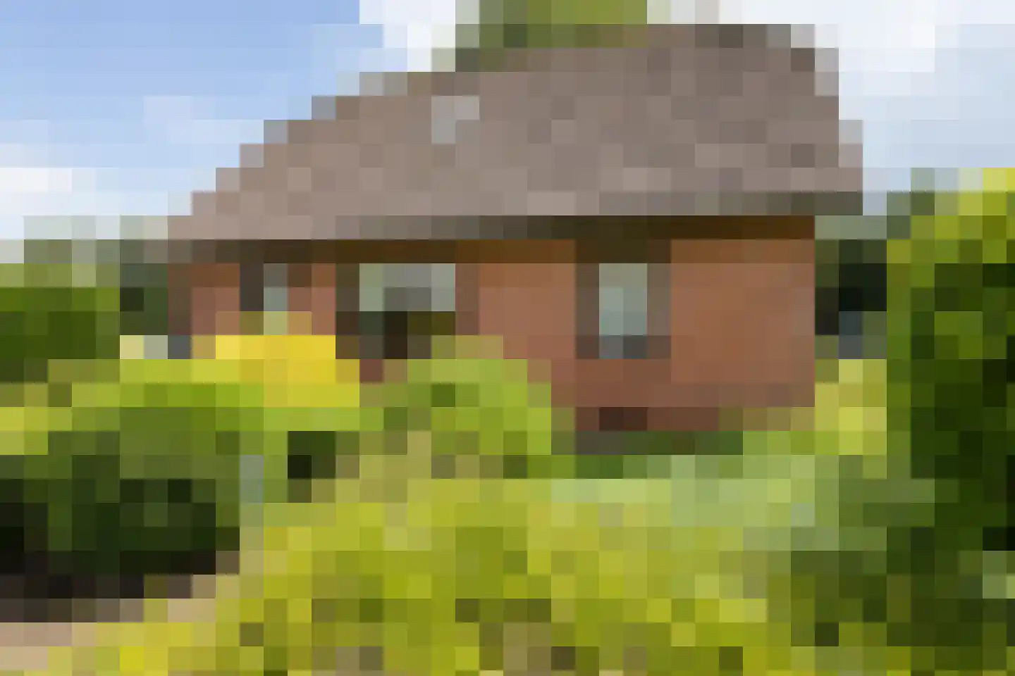 Nettelhorsterweg 26 Geesteren thumbnail 33