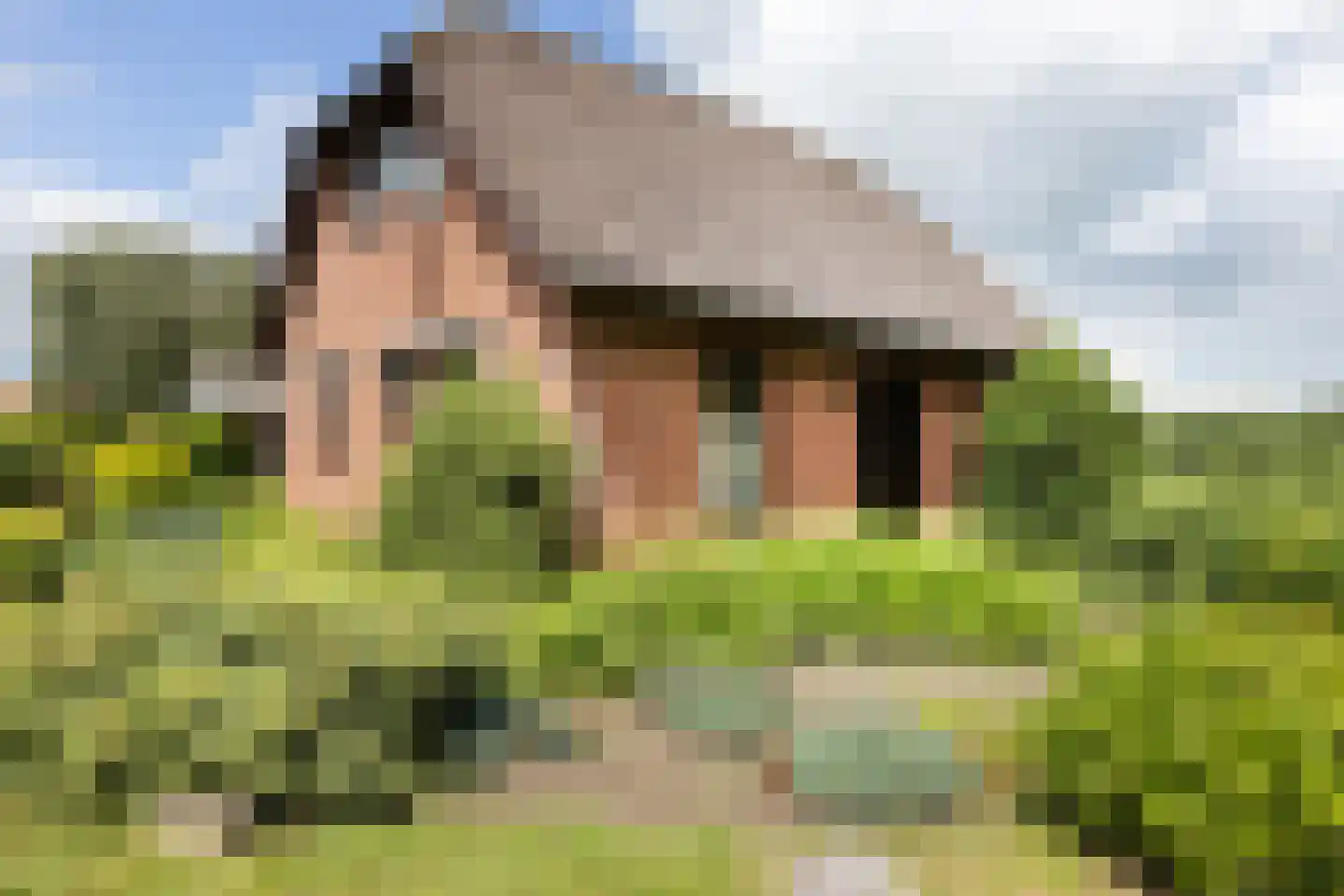 Nettelhorsterweg 26 Geesteren thumbnail 35