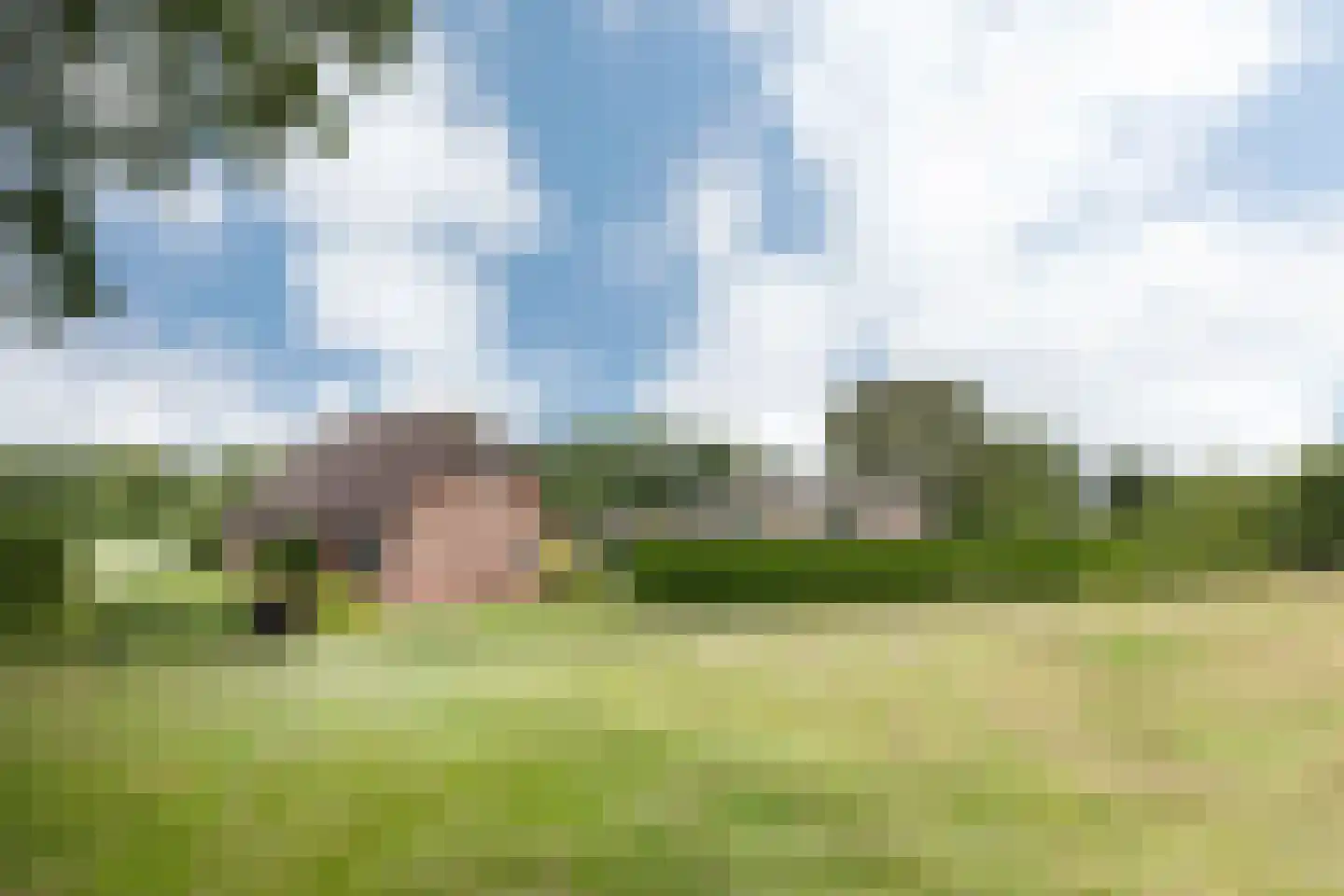 Nettelhorsterweg 26 Geesteren thumbnail 36
