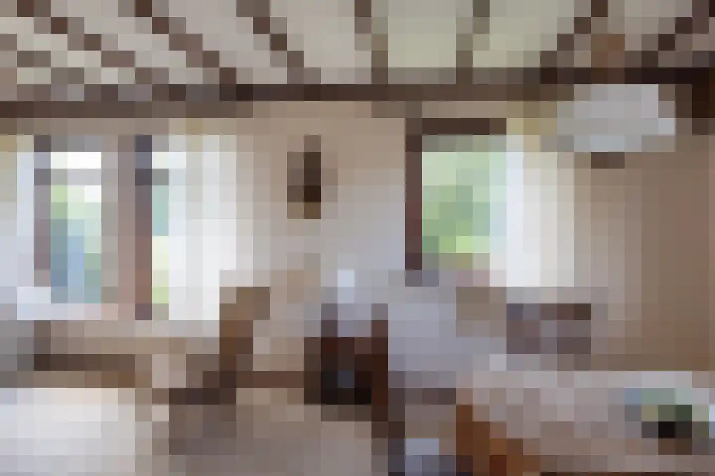 Nettelhorsterweg 26 Geesteren thumbnail 4