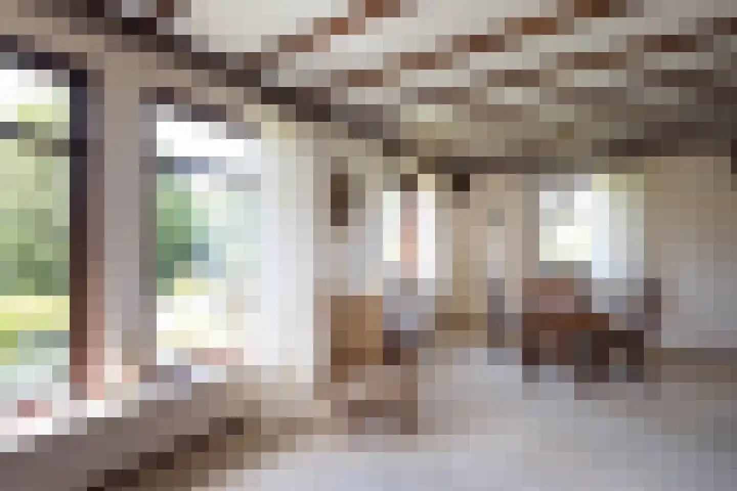 Nettelhorsterweg 26 Geesteren thumbnail 5