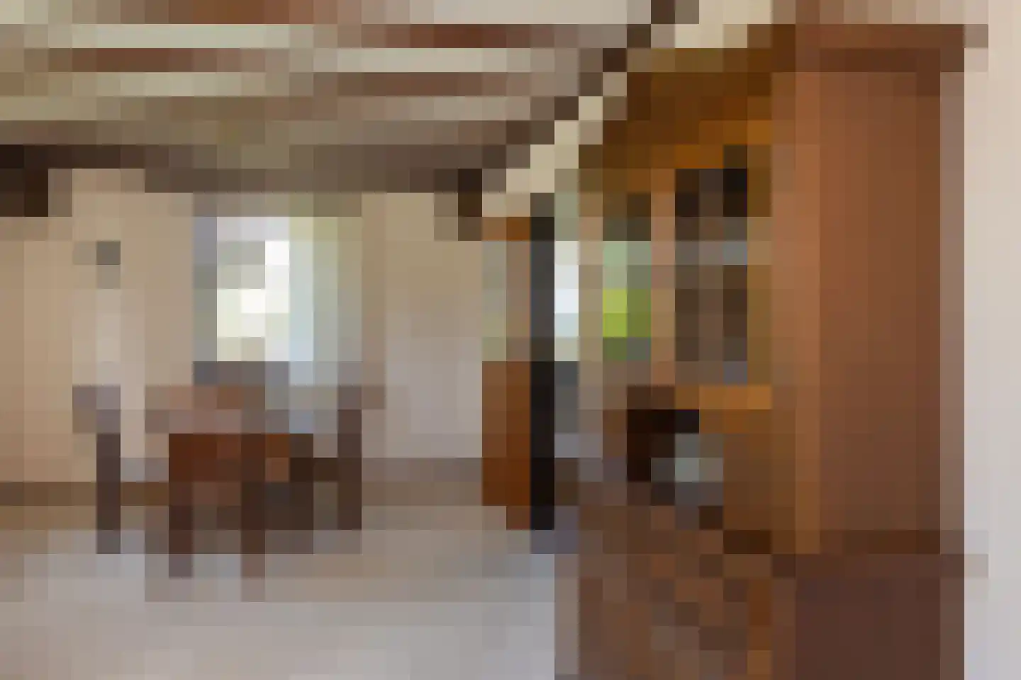 Nettelhorsterweg 26 Geesteren thumbnail 6