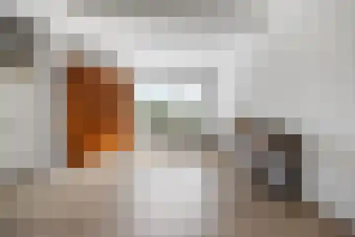 Nettenknoper 33 Beuningen Gld thumbnail 12