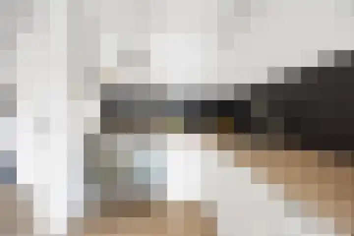 Nettenknoper 33 Beuningen Gld thumbnail 14